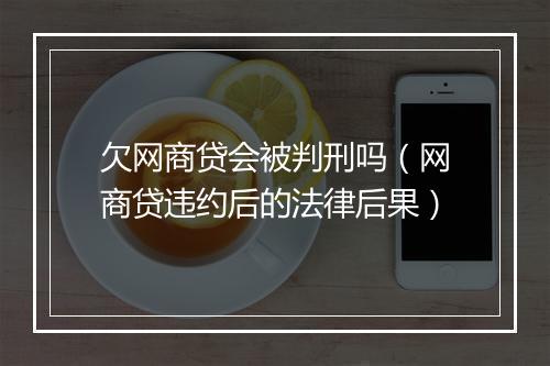 欠网商贷会被判刑吗（网商贷违约后的法律后果）