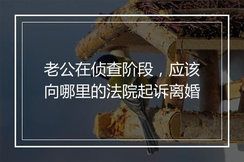 老公在侦查阶段，应该向哪里的法院起诉离婚