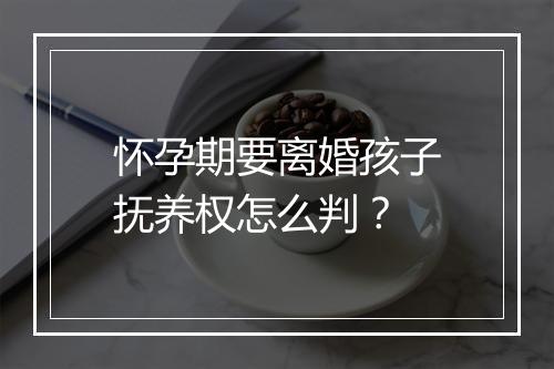 怀孕期要离婚孩子抚养权怎么判？