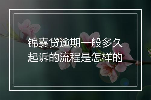 锦囊贷逾期一般多久起诉的流程是怎样的