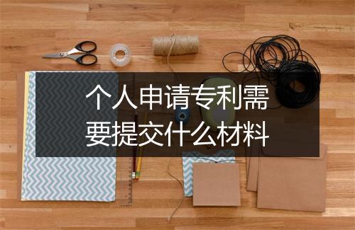 个人申请专利需要提交什么材料
