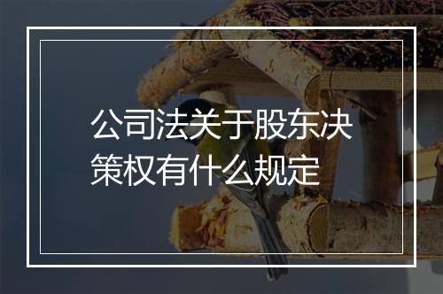公司法关于股东决策权有什么规定