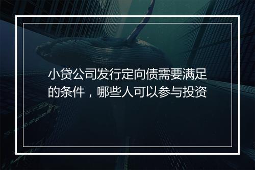 小贷公司发行定向债需要满足的条件，哪些人可以参与投资