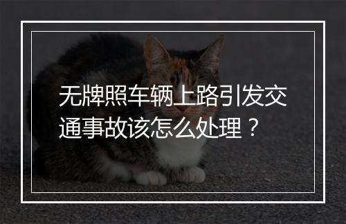 无牌照车辆上路引发交通事故该怎么处理？