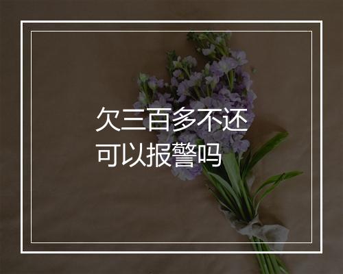 欠三百多不还可以报警吗