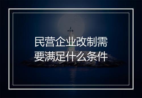 民营企业改制需要满足什么条件