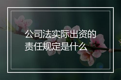 公司法实际出资的责任规定是什么