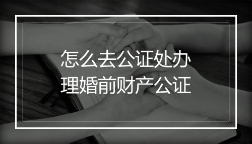 怎么去公证处办理婚前财产公证