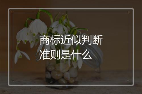 商标近似判断准则是什么