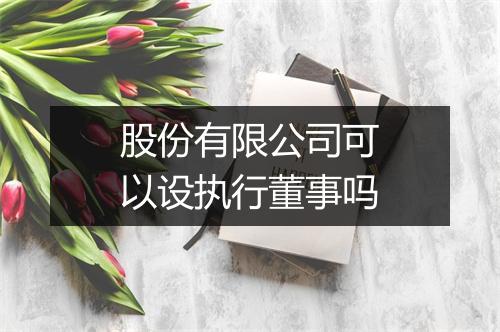 股份有限公司可以设执行董事吗