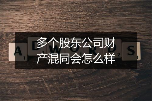 多个股东公司财产混同会怎么样