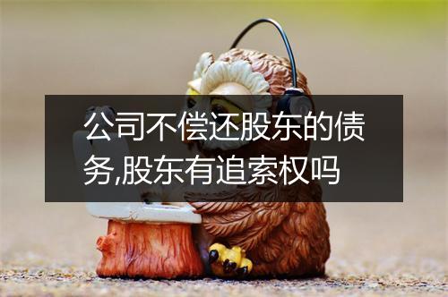 公司不偿还股东的债务,股东有追索权吗