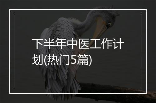 下半年中医工作计划(热门5篇)
