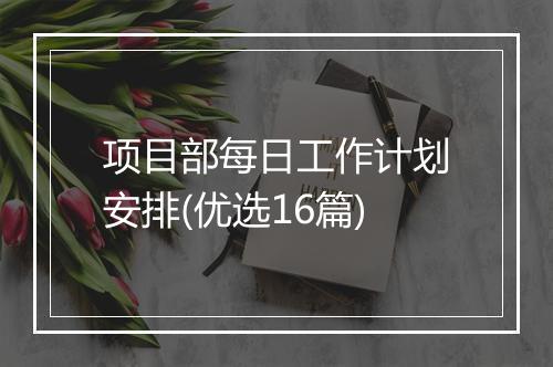 项目部每日工作计划安排(优选16篇)