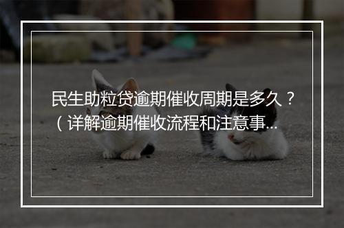 民生助粒贷逾期催收周期是多久？（详解逾期催收流程和注意事项）