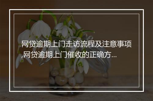 网贷逾期上门走访流程及注意事项,网贷逾期上门催收的正确方式