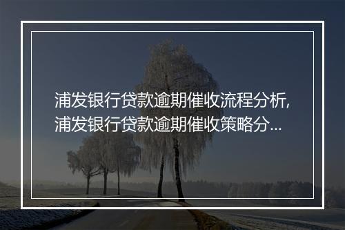 浦发银行贷款逾期催收流程分析,浦发银行贷款逾期催收策略分享