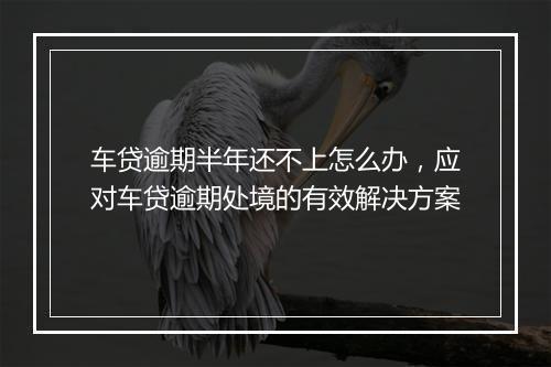 车贷逾期半年还不上怎么办，应对车贷逾期处境的有效解决方案