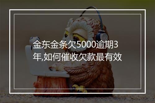 金东金条欠5000逾期3年,如何催收欠款最有效