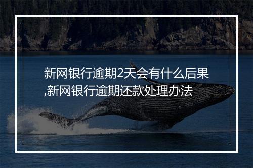 新网银行逾期2天会有什么后果,新网银行逾期还款处理办法
