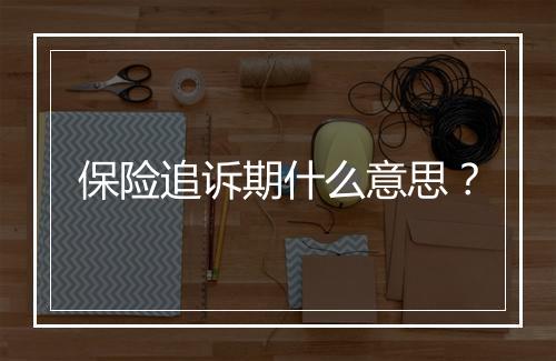 保险追诉期什么意思？