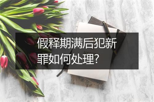 假释期满后犯新罪如何处理?