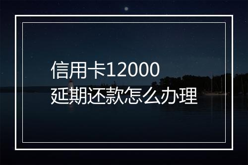 信用卡12000延期还款怎么办理