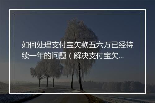 如何处理支付宝欠款五六万已经持续一年的问题（解决支付宝欠款逾期还款 ）