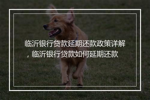 临沂银行贷款延期还款政策详解，临沂银行贷款如何延期还款