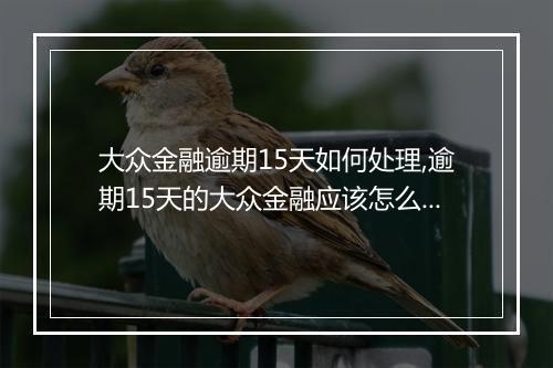 大众金融逾期15天如何处理,逾期15天的大众金融应该怎么办理