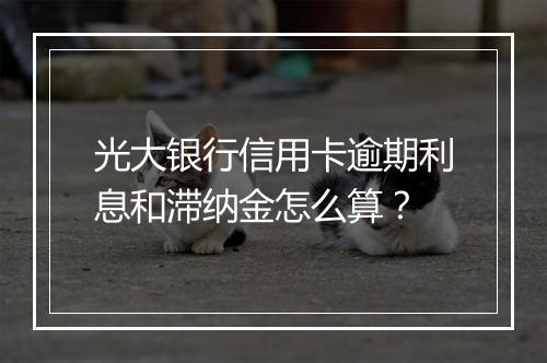 光大银行信用卡逾期利息和滞纳金怎么算？