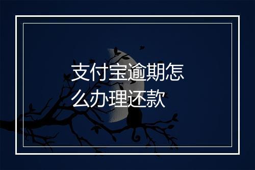 支付宝逾期怎么办理还款