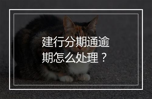 建行分期通逾期怎么处理？