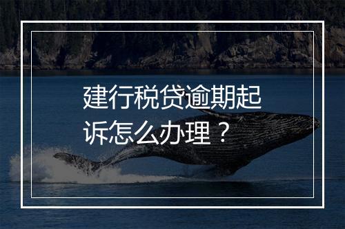 建行税贷逾期起诉怎么办理？