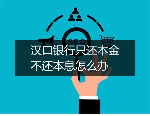 汉口银行只还本金不还本息怎么办