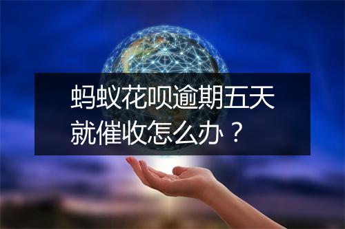 蚂蚁花呗逾期五天就催收怎么办？