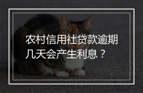农村信用社贷款逾期几天会产生利息？