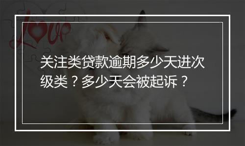 关注类贷款逾期多少天进次级类？多少天会被起诉？