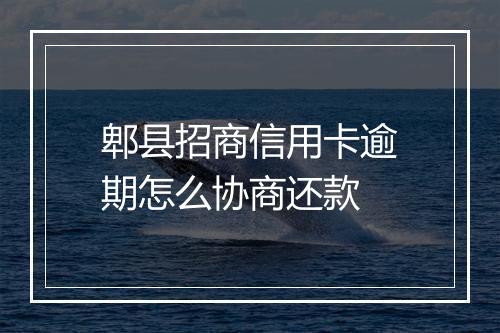 郫县招商信用卡逾期怎么协商还款