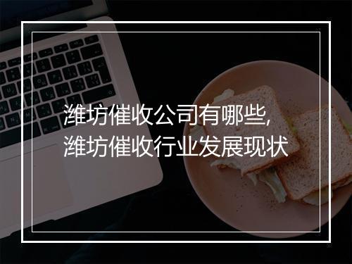 潍坊催收公司有哪些,潍坊催收行业发展现状