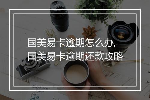 国美易卡逾期怎么办,国美易卡逾期还款攻略