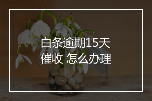 白条逾期15天催收 怎么办理