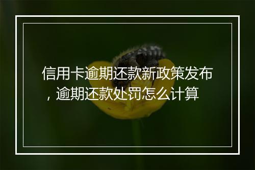信用卡逾期还款新政策发布，逾期还款处罚怎么计算