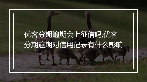 优客分期逾期会上征信吗,优客分期逾期对信用记录有什么影响