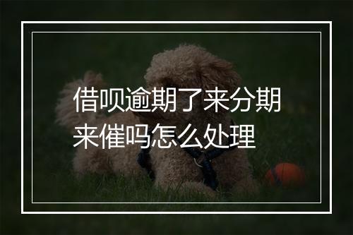 借呗逾期了来分期来催吗怎么处理
