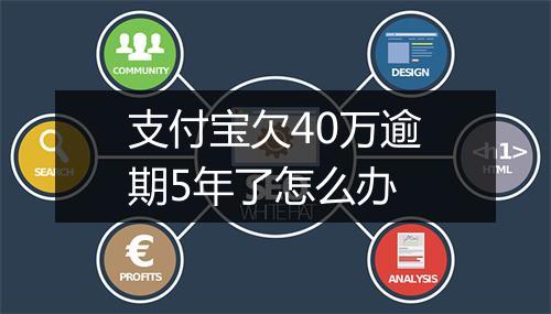 支付宝欠40万逾期5年了怎么办