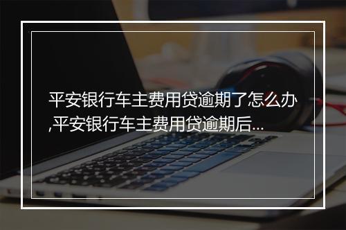 平安银行车主费用贷逾期了怎么办,平安银行车主费用贷逾期后的处理措施