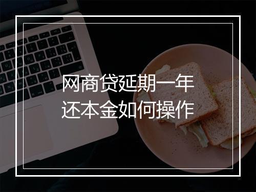 网商贷延期一年还本金如何操作