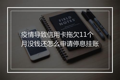 疫情导致信用卡拖欠11个月没钱还怎么申请停息挂账