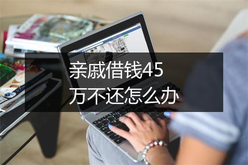 亲戚借钱45万不还怎么办